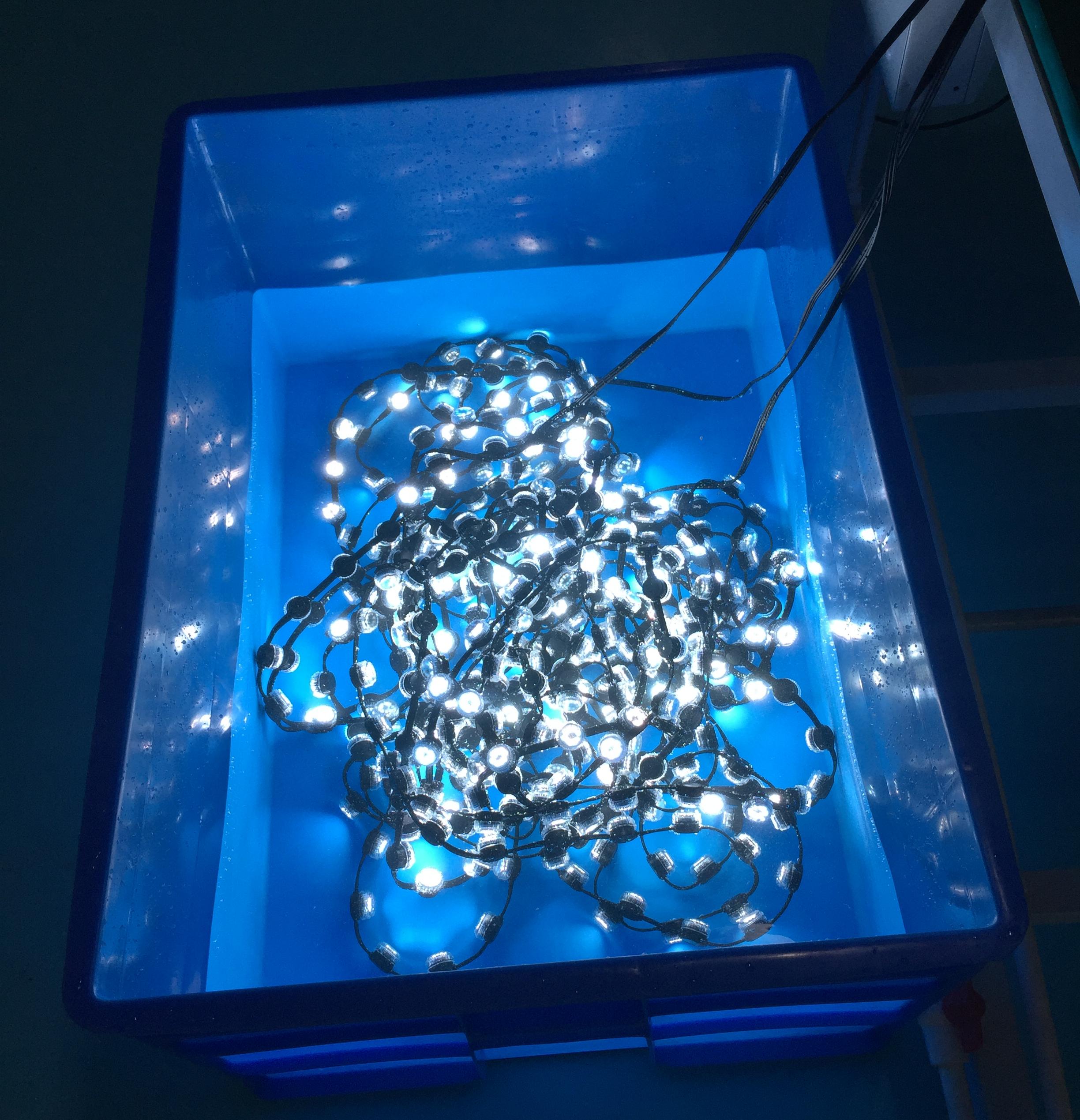 IP67 waterproof testing of LED display pixel modules before packing