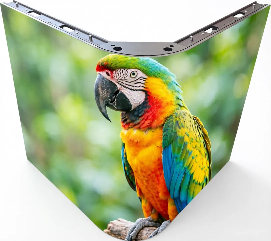 JDX Technology creative LED display solutions combining seamless shapes and vibrant visuals